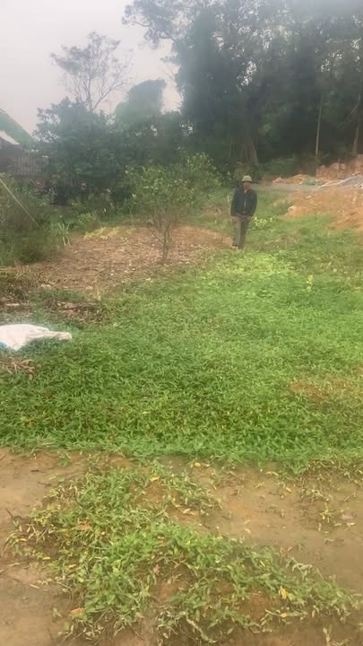 Đất nền khu công nghiệp WHA Nghi Lộc 100m² - Cơ hội đầu tư tuyệt vời!