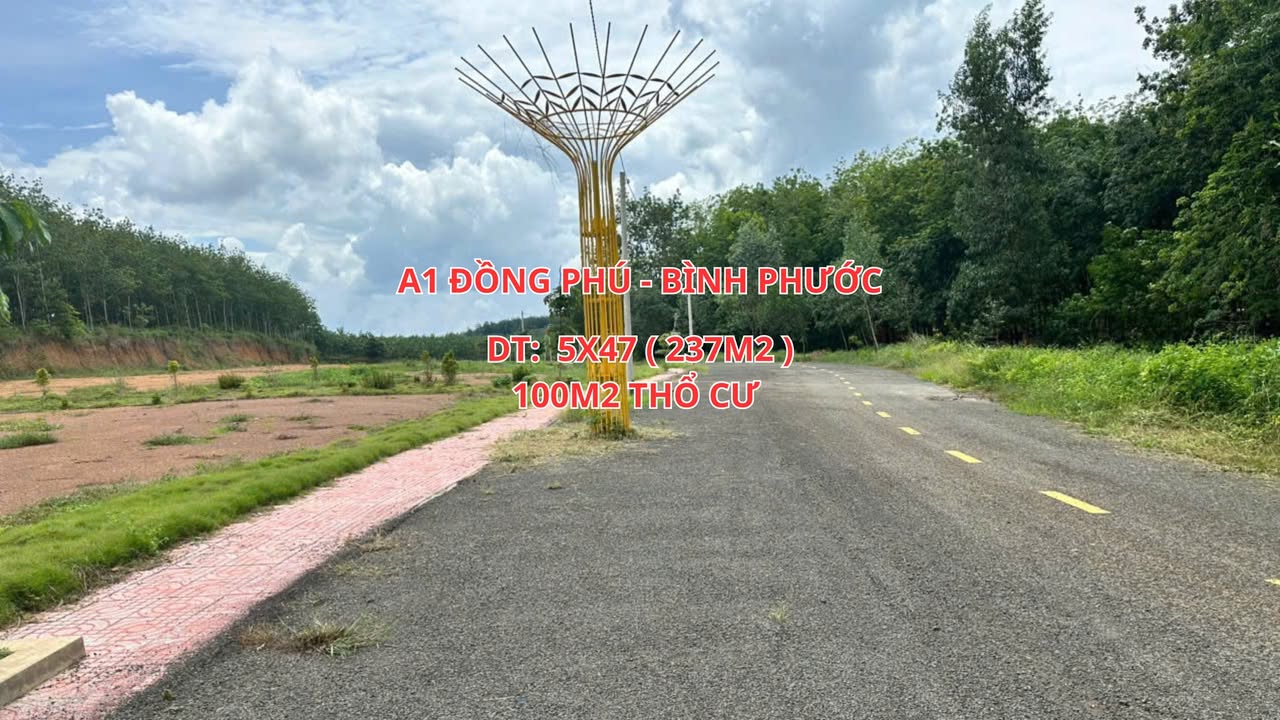 Đất nền Đồng Tiến, Đồng Phú, Bình Phước 237m² chỉ 100 triệu - Đầu tư sinh lời ngay!