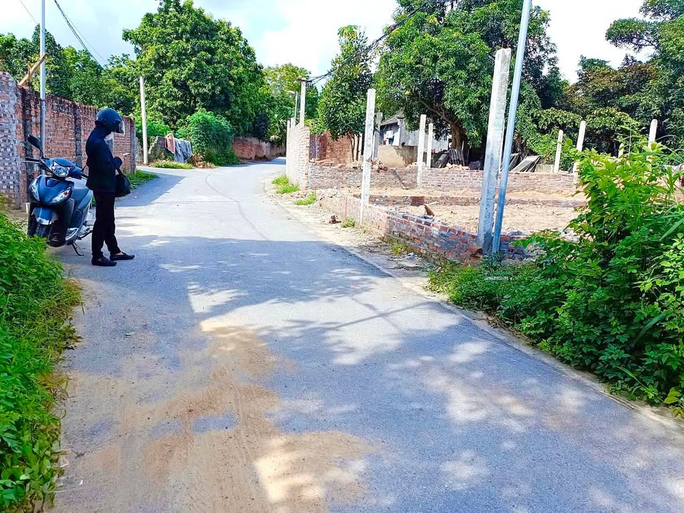 Đất nền Hướng Đạo, Tam Dương 134m² giá 1.1 tỷ - Tiềm năng kinh doanh hấp dẫn!