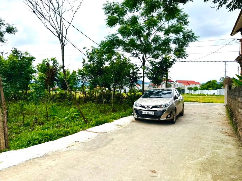 Đất thổ cư 114m² tại Trung Mỹ, Bình Xuyên - Giá chỉ 1 tỷ, view cánh đồng