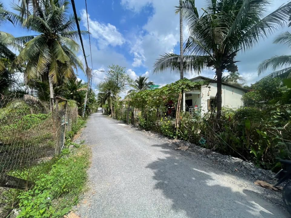 Đất vườn 700m² Bình Mỹ Củ Chi giá chỉ 5,5 tỷ - Hướng nở hậu hiếm có!