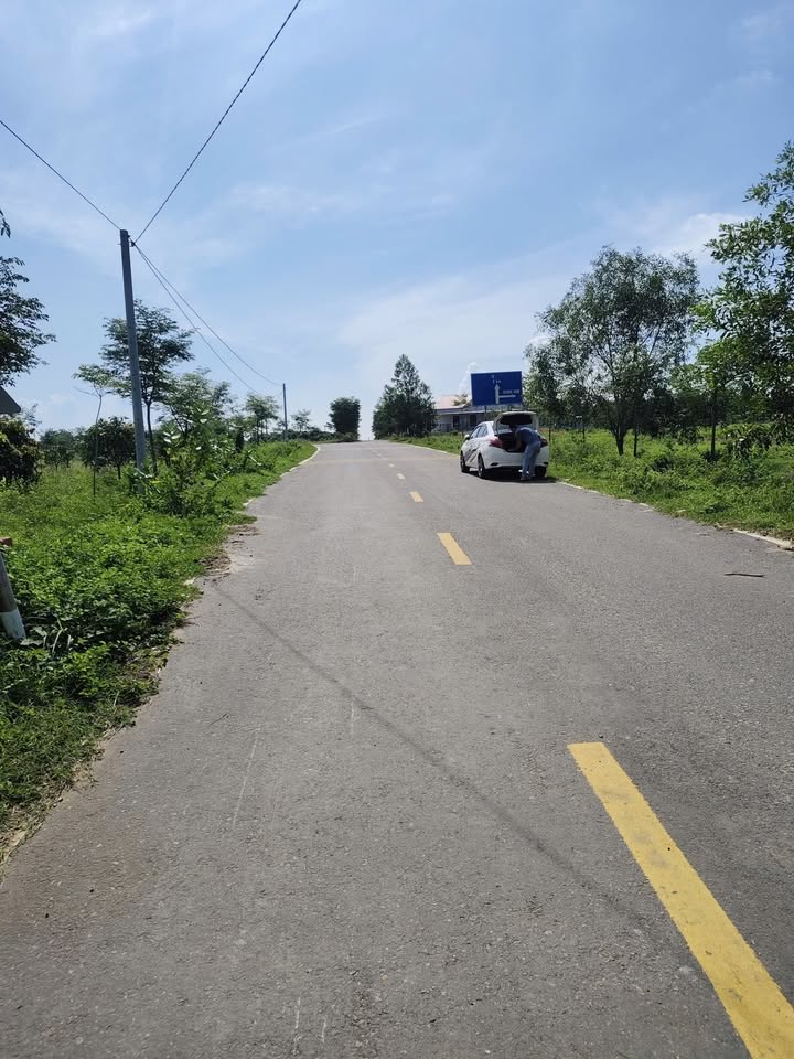 Farm Vườn Cây Ăn Trái Bình Thuận 13.071m² giá 2.353 tỷ - Đầu tư sinh lời ngay!