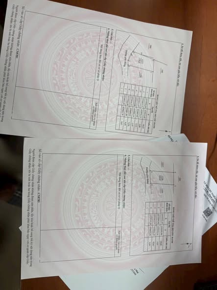 Đất nền Hiệp Đồng Phổ Yên 165m² giá chỉ 800 triệu - Đầu tư sinh lời ngay!