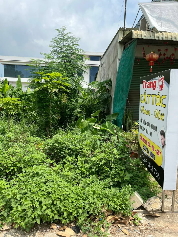 Đất mặt tiền ĐT 767, Vĩnh Tân, 150m² giá 1.5 tỷ - Cơ hội đầu tư hấp dẫn!