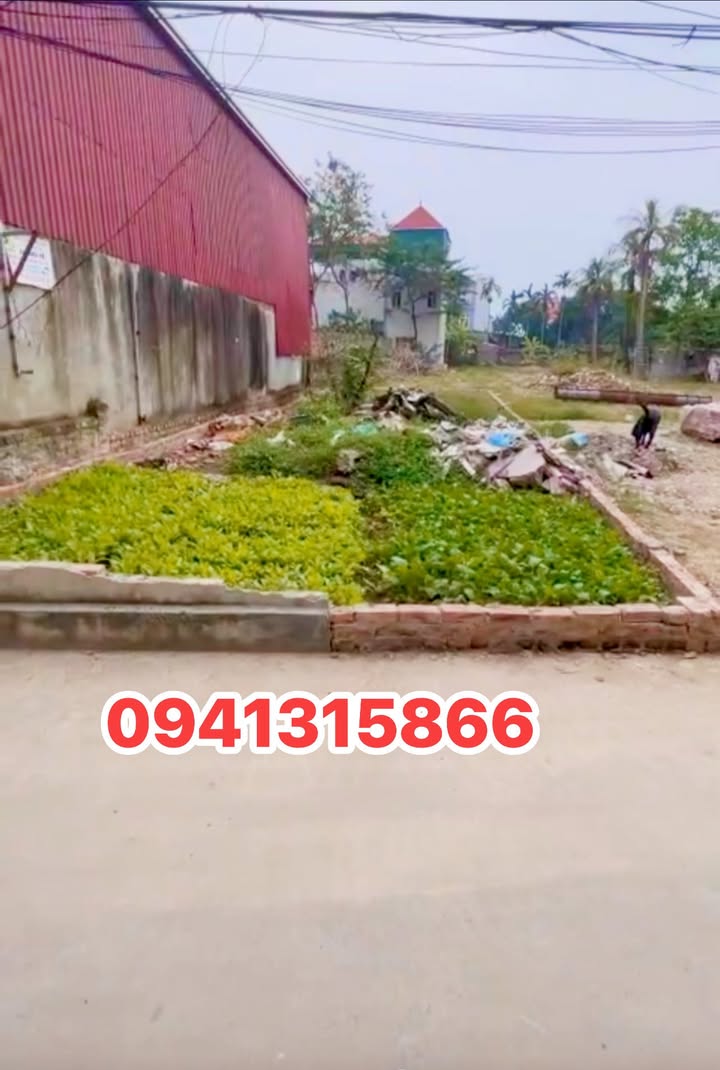 Đất Bùi Xá Tam Hưng 80m² giá 5 tỷ - Đường ô tô đậu trong đất!