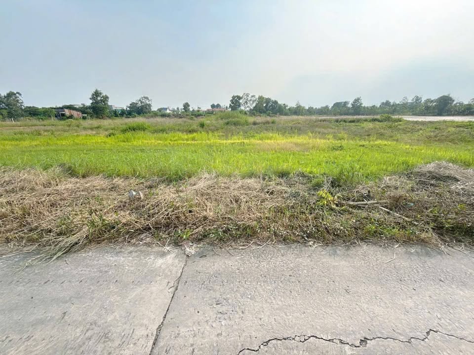 Đất nền Bà Lẩy 1, Tăng Hòa, Gò Công Đông 637m² giá 390 triệu - Mặt tiền đường xe hơi thuận tiện!