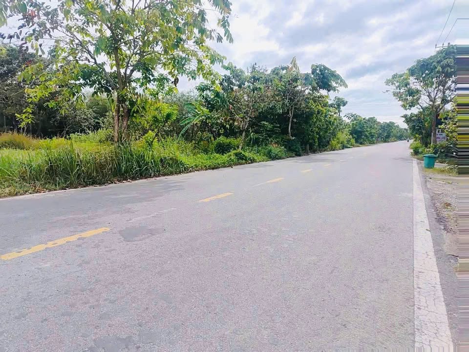 Đất nền An Nhơn Tây Củ Chi 569m² giá 4 tỷ - Đầu tư lý tưởng!