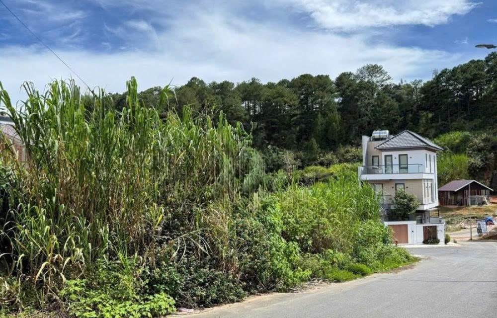 Đất KQH An Sơn P4 Đà Lạt 79m² giá 6.2 tỷ - Cơ hội đầu tư lý tưởng!