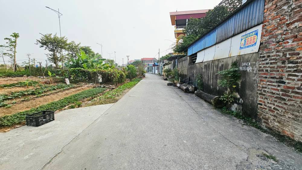 Đất thổ cư 72m² tại Mai Đình, Sóc Sơn - Gần sân bay Nội Bài chỉ 1km!