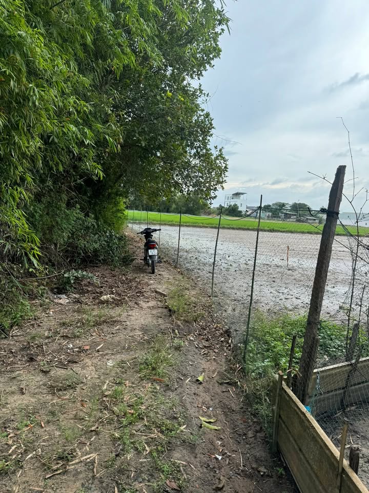 Đất lúa ấp 3 Đức Hòa Đông 2000m² giá 4 tỷ - Cơ hội đầu tư hấp dẫn!