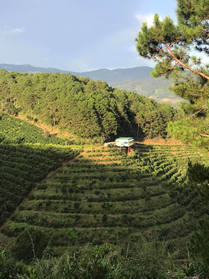 Đất Nam Ban Lâm Hà 1000m² giá 650 triệu - Đầu tư sinh lời ngay!