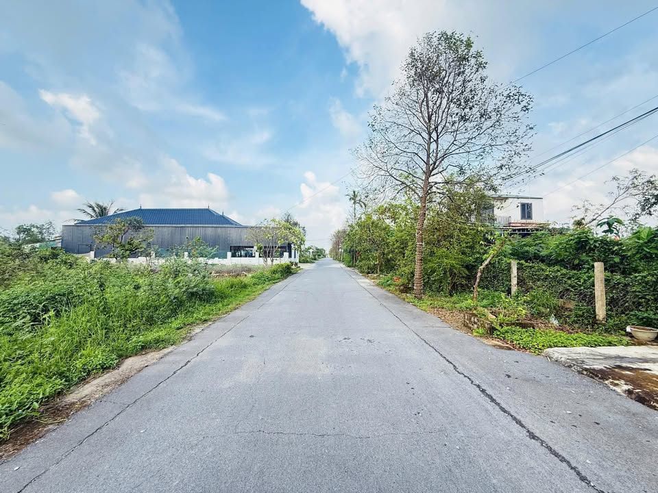 Đất mặt tiền đường quy hoạch 15m tại Cẩm Bình 231m² giá 1.65 tỷ - Cơ hội đầu tư tuyệt vời!