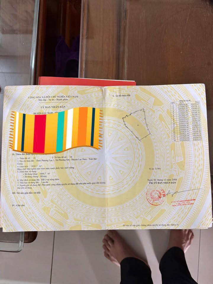 Đất ở nông thôn Phượng Sơn, Lục Nam 1850m² giá thỏa thuận - Cơ hội đầu tư hấp dẫn!