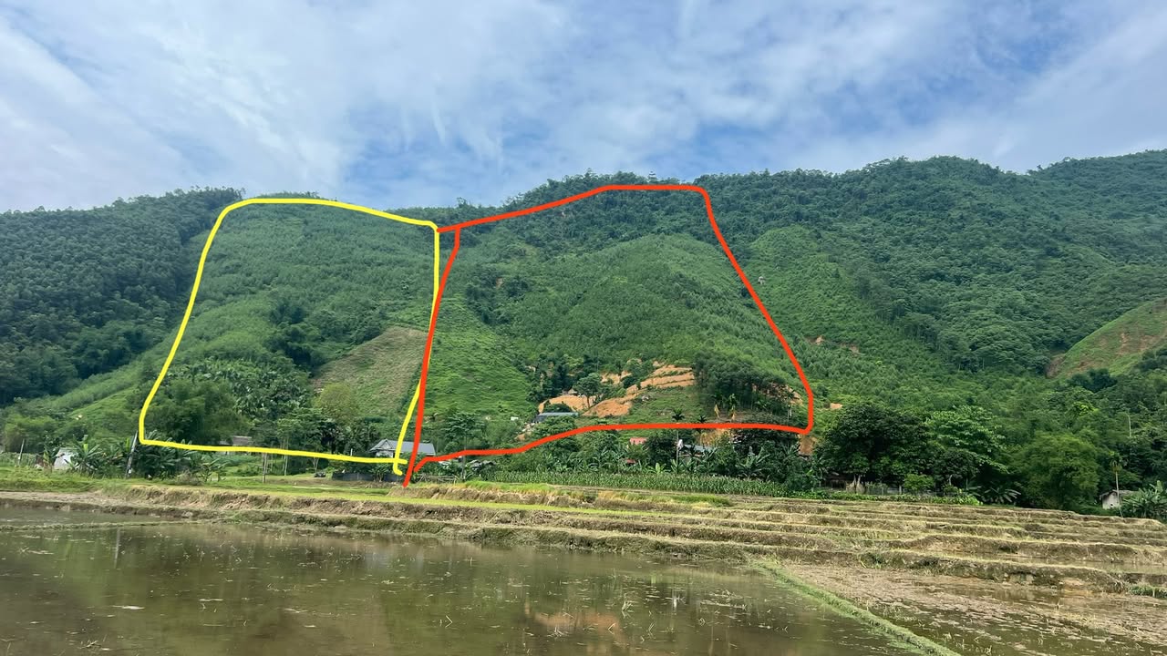 Đất nông nghiệp 4ha tại Sơn Lương, Yên Lập, Phú Thọ - Giá chỉ 1,2 tỷ!