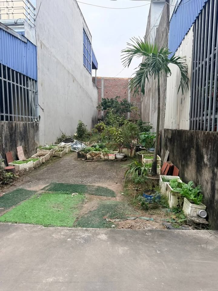 Bán đất ô tô vào tận nơi - Đường Điện Biên, 75m² giá 1.79 tỷ - Khu dân cư văn minh!