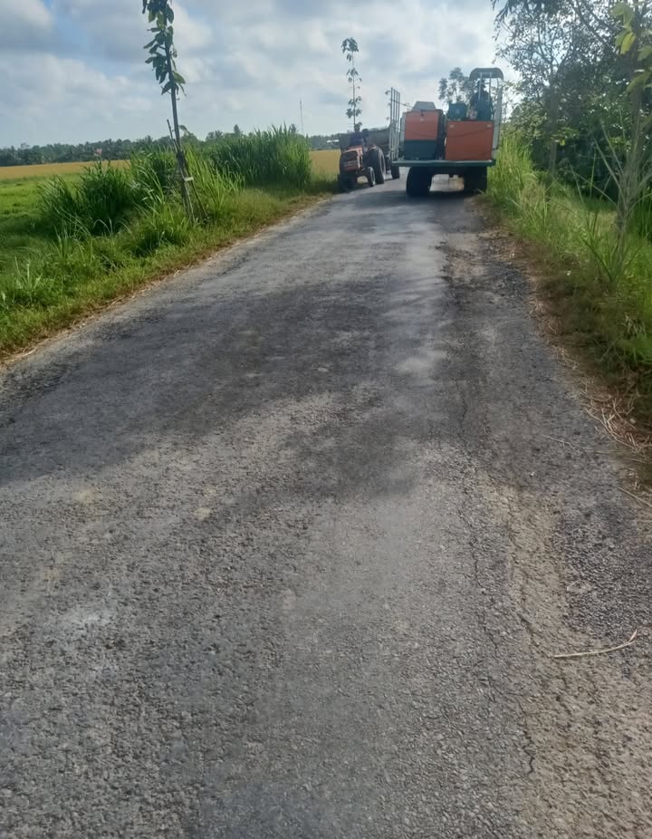 Đất vườn dừa Tân Xuân, Ba Tri, Bến Tre 40.000m² giá chỉ 1.196 tỷ - Tiềm năng đầu tư lớn!