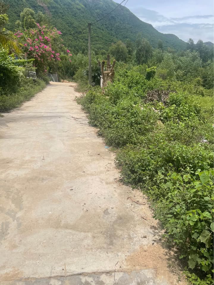 Đất nền Xuân Sơn Vạn Ninh 2500m² giá 500 triệu - Đầu tư sinh lời ngay!