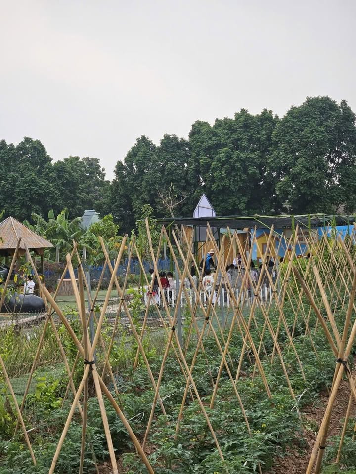 Đất vườn Yên Mỹ, Thanh Trì, Hà Nội 300m² giá 900 triệu - Đầu tư sinh lời!