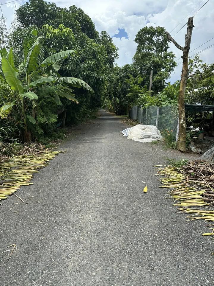 Đất nền tại xã Phong Hòa, huyện Lai Vung, Đồng Tháp 800m² giá 880 triệu - Đầu tư lý tưởng!