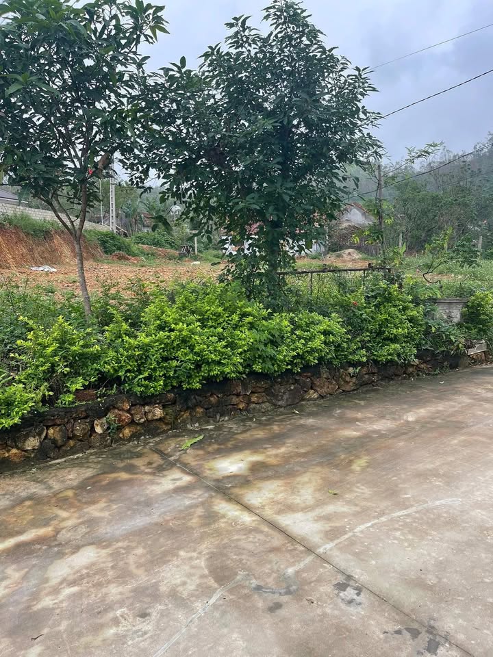 Đất nền Nam Lĩnh - 152m² giá 800 triệu - Ô tô tránh nhau dễ dàng!