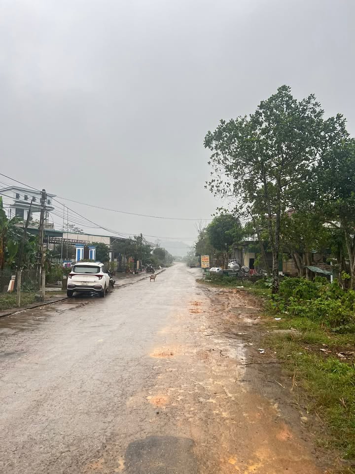 Đất nền mặt đường QL15A, xã Nam Hưng, huyện Nam Đàn 220m² - Vị trí đắc địa kinh doanh!