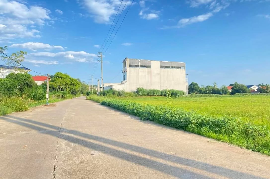 Đất nền thổ cư xã Hoàng Cương, Thanh Ba - Chỉ từ 199 triệu, cơ hội đầu tư tuyệt vời!