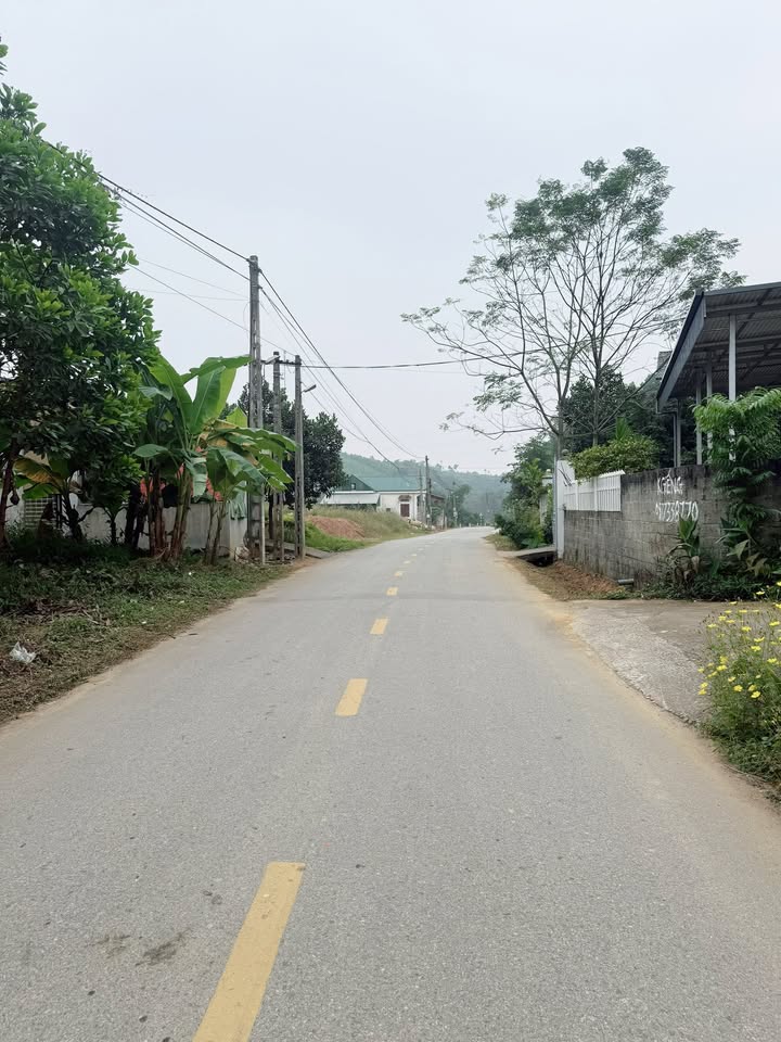 Đất nền Ninh Dân Thanh Ba 300m² giá chỉ 5xx triệu - Đầu tư sinh lời ngay!