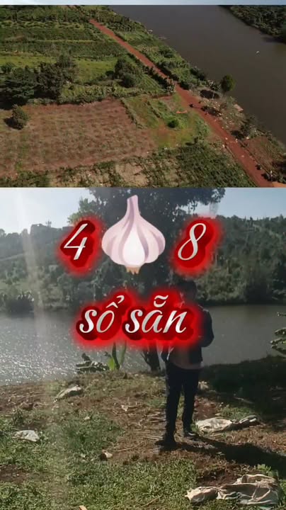 Đất nền Lộc Tân Bảo Lộc 3000m² giá 4.8 tỷ - Nơi tìm về an yên!