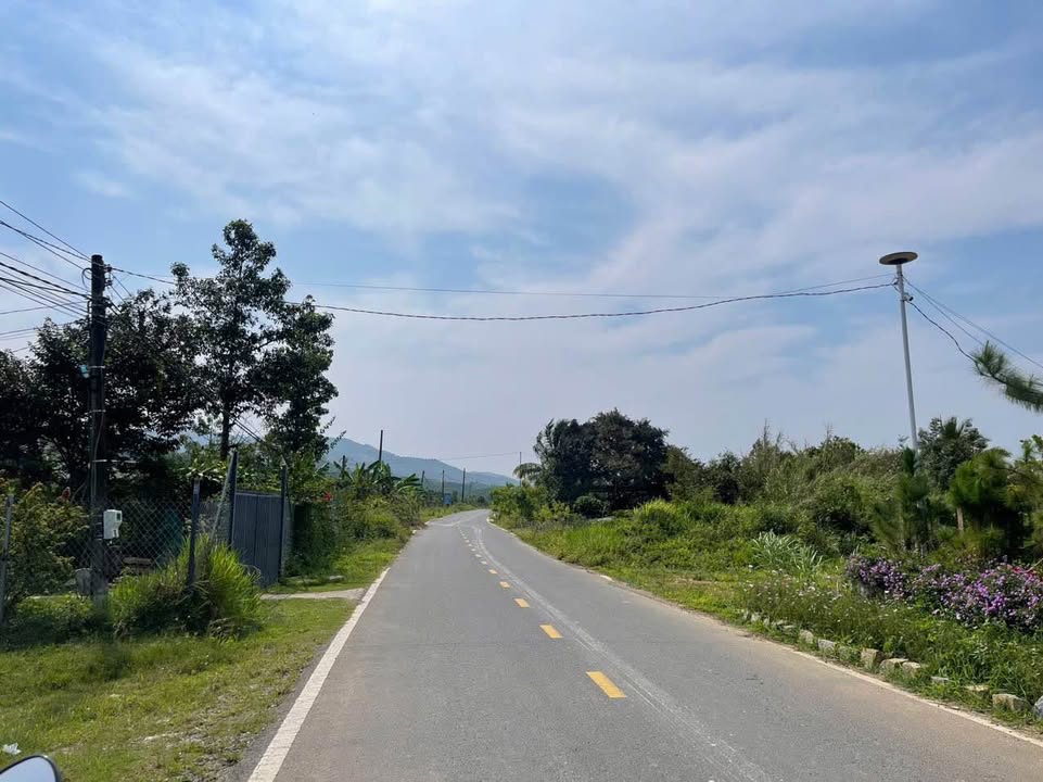 Đất nền mặt tiền Đinh Công Tráng, Lộc Châu 1050m² giá 3 tỷ - Đầu tư sinh lời ngay!