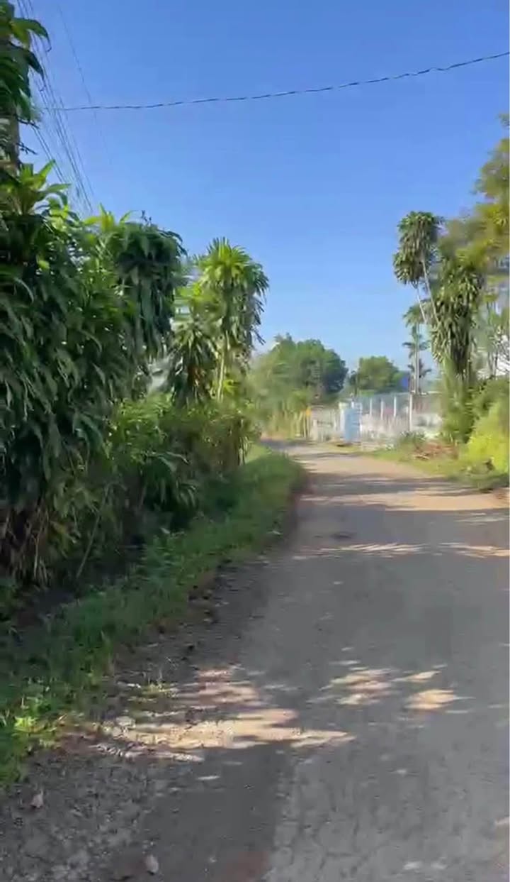 Đất nền mặt tiền đường số 10, xã Đại Lào, Bảo Lộc 500m² - Giá chỉ 1.1 tỷ VND