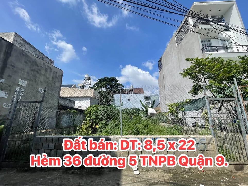 Đất Nền Hẻm Ô Tô 180m² tại Quận 9 - Pháp Lý Rõ Ràng, Giá Chỉ 12.999 Tỷ!