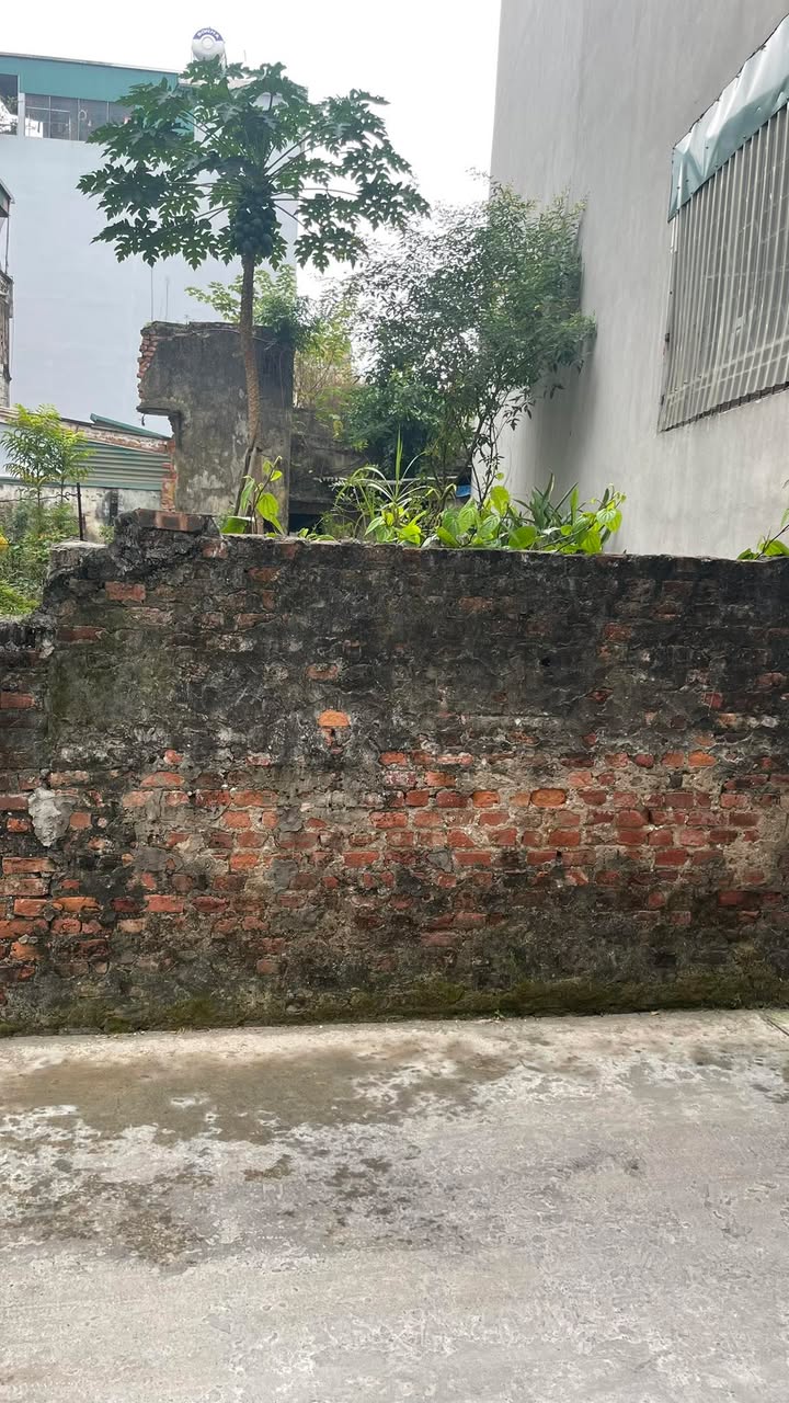 Đất Tư Đình Long Biên 75m² giá 12 tỷ - Đầu tư sinh lời ngay!