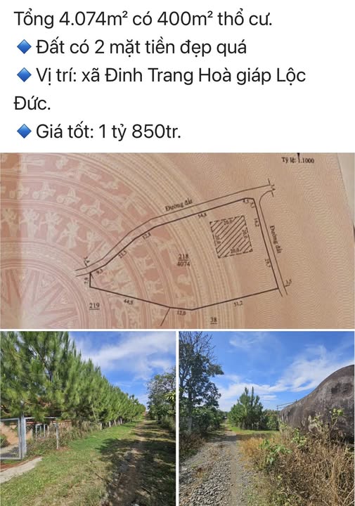 Đất nền 2 mặt tiền xã Đinh Trang Hòa 4.074m² giá 1.85 tỷ - Cơ hội đầu tư tuyệt vời!