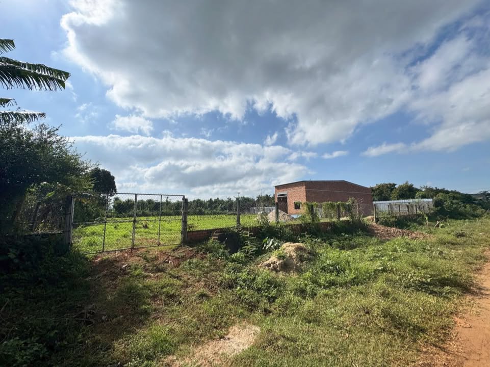 Đất nền Ea Hiu Krông Pắc 2400m² giá 1.92 tỷ - Đầu tư sinh lời ngay!