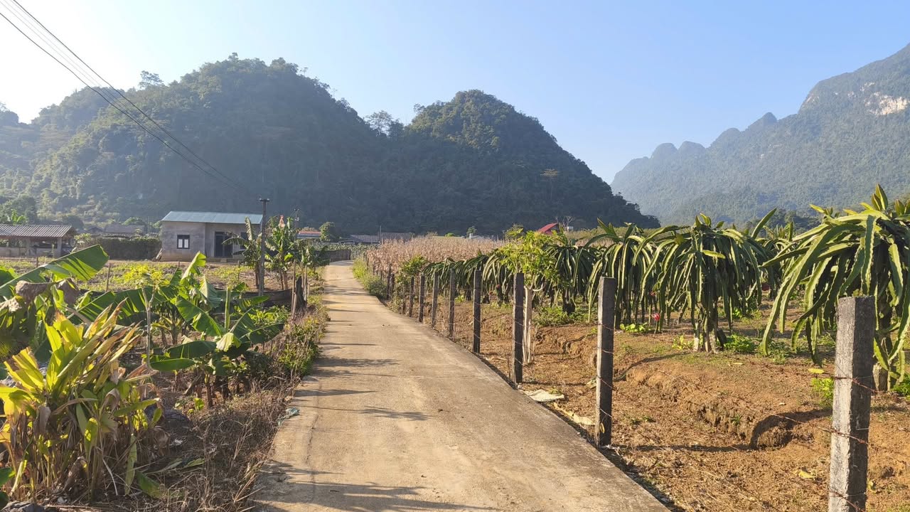 Đất nền đẹp tại phường Hà Giang 2, Tuyên Quang 6090m² giá chỉ 4 tỷ - Đầu tư sinh lời ngay!