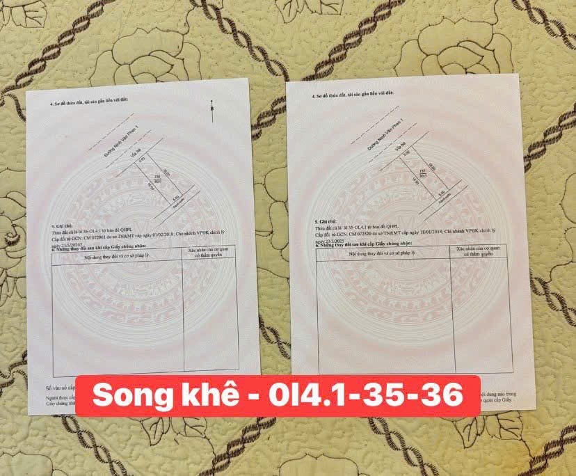 Đất dự án Song Khê Bắc Giang 80m² giá 3 tỷ - Đường thông thoáng, đầu tư sinh lời!