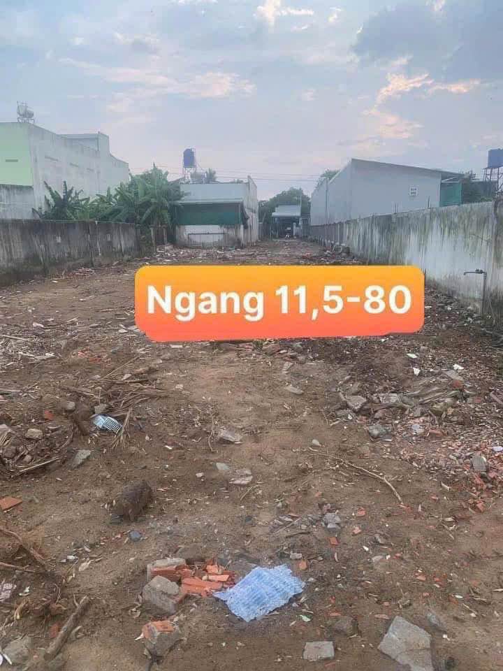 Đất mặt tiền Võ Văn Môn, Tân An, 520m² giá 5.5 tỷ - Vị trí đẹp, kinh doanh thuận lợi!