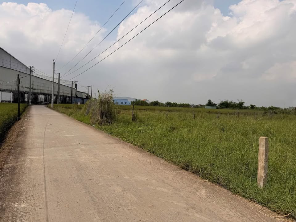 Đất thổ cư mặt tiền đường Nguyễn Văn Thọ, 125m² giá 570 triệu - Chính chủ bán gấp!