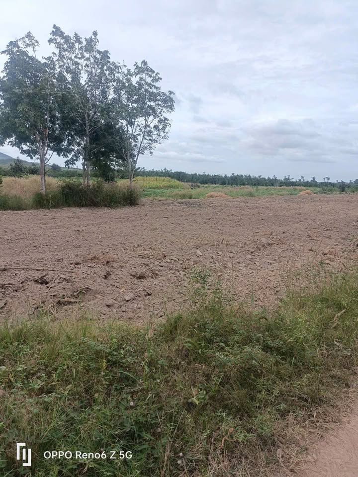 Đất trống 6ha tại xã Eahleo, Đắk Lắk giá 1.5 tỷ - Cơ hội đầu tư tuyệt vời!