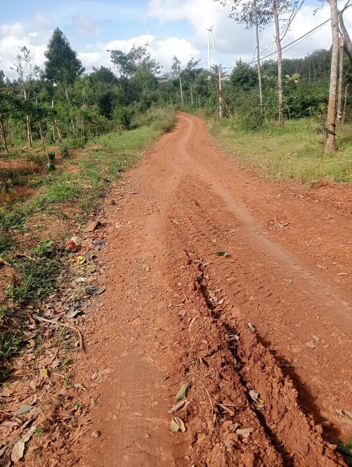 Đất thổ cư 1ha tại thôn 7, xã Ea Nam, huyện Ea H'leo, Đắk Lắk - Pháp lý sổ đỏ, giá chỉ 3.8 tỷ!