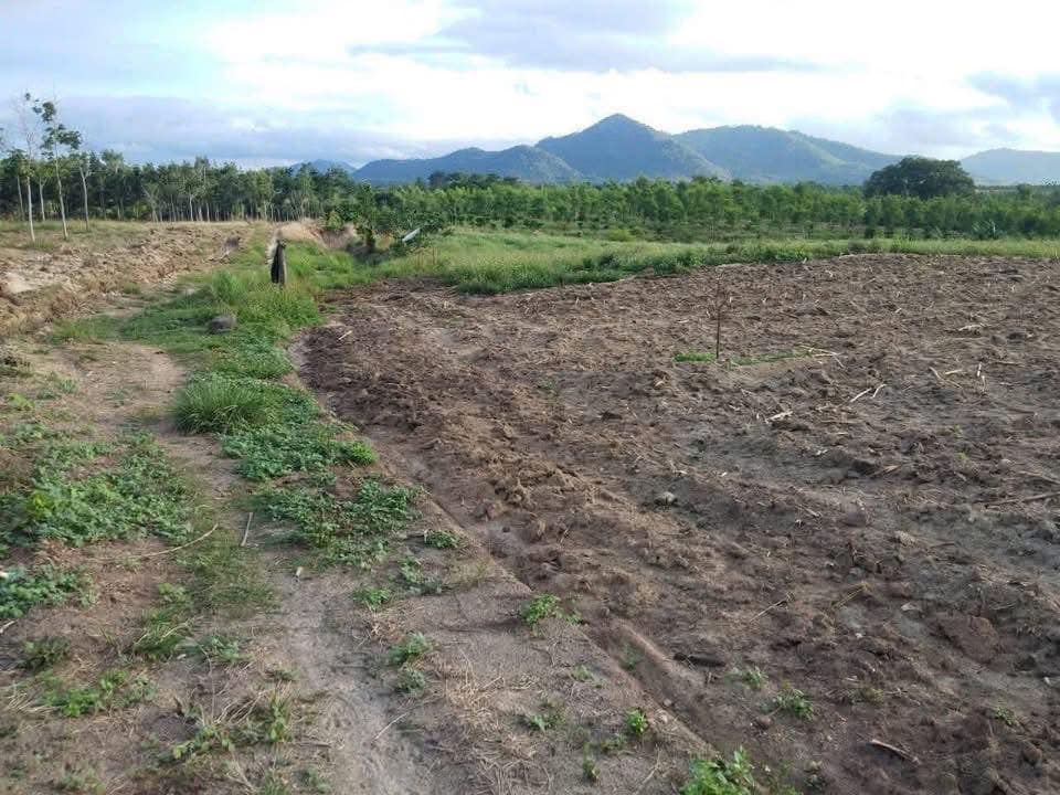 Đất nền xã Ea H'leo 1.6ha giá chỉ 8.64 tỷ - Đường ô tô vào tận nơi!