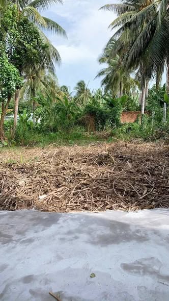 Đất nền hẻm Mạc Cửu, Vĩnh Quang, Rạch Giá 102.5m² giá 300 triệu - Đầu tư lý tưởng!