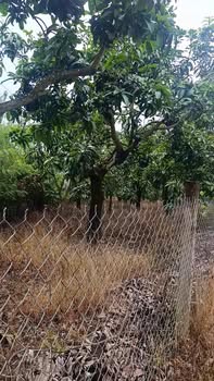 Đất nền 2800m² xã La Ngà - Định Quán, Đồng Nai chỉ 1.05 tỷ - Sổ đỏ chính chủ!