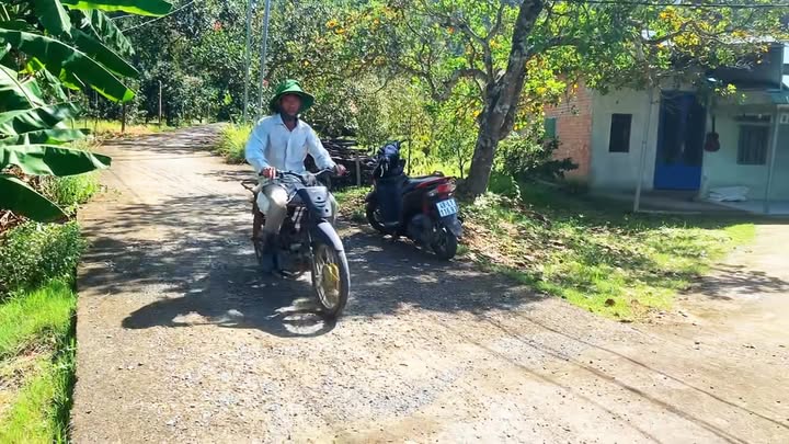 Farm 1.6 hecta sầu riêng Thái tại Đạ Lây, giá 2.7 tỷ - Đầu tư sinh lời cao!