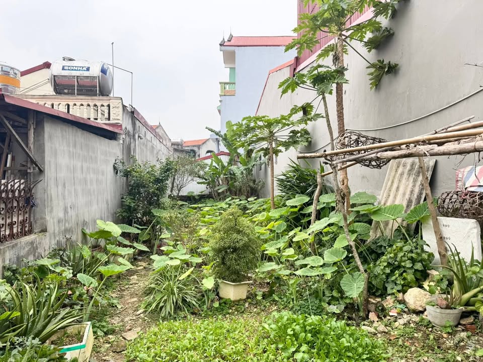 Đất nền Đèo Giang Lạng Sơn 104m² giá 1 tỷ - Đầu tư sinh lời ngay!