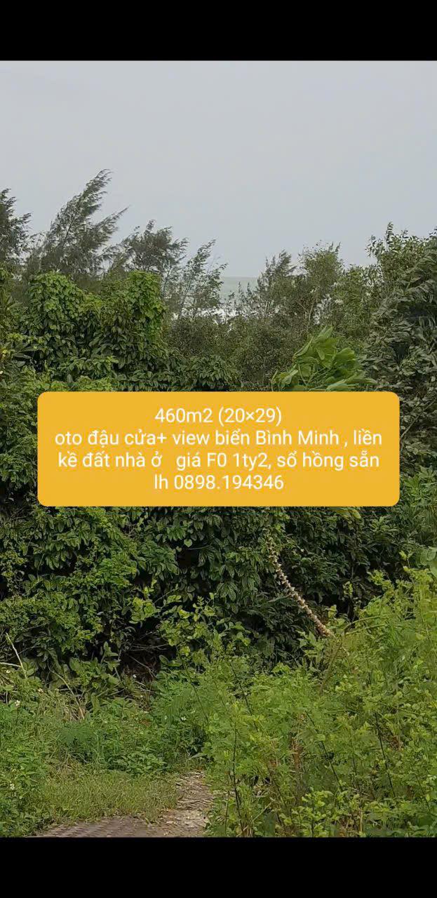 Đất CLN 462m² tại Bình Minh, Thăng Bình chỉ 1.2 tỷ - View biển tuyệt đẹp!