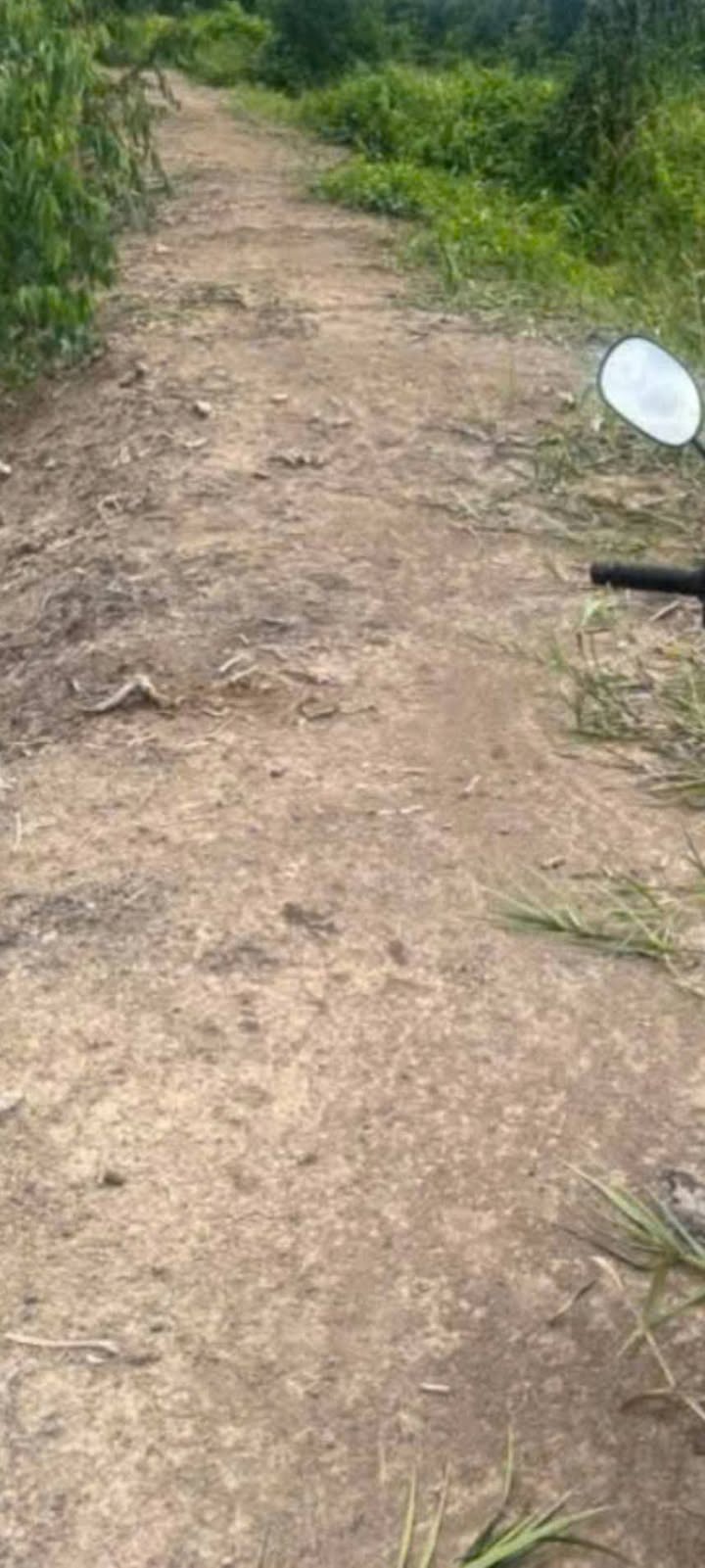 Đất nền Tân Lập 2, Tân Phước 15.000m² giá 2.1 tỷ - Pháp lý rõ ràng, sang tên nhanh!