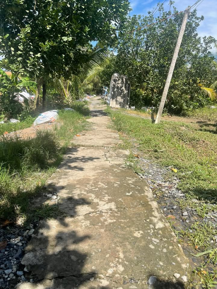 Đất nền đẹp 4800m² tại Tân Hưng, Đồng Tháp chỉ 2.5 tỷ - Pháp lý rõ ràng!