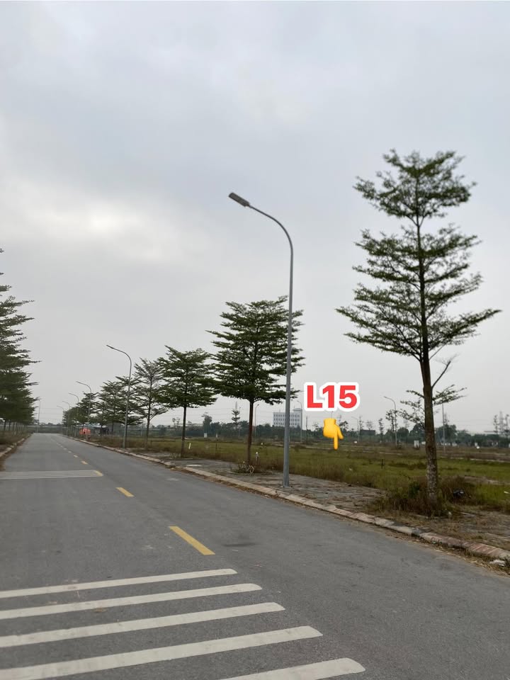 Bán lô đất dự án Văn Phú, Đông Phong, Yên Phong 115m² giá 3 tỷ - Đầu tư tiềm năng!