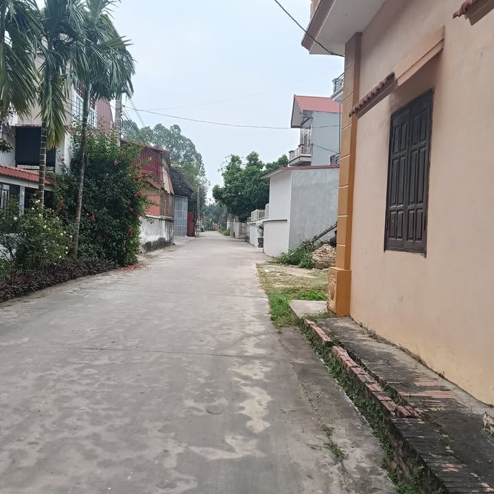 Đất đấu giá Ngọc Thiện Tân Yên - 2 lô 100m² và 140m² giá chỉ 1 tỷ!